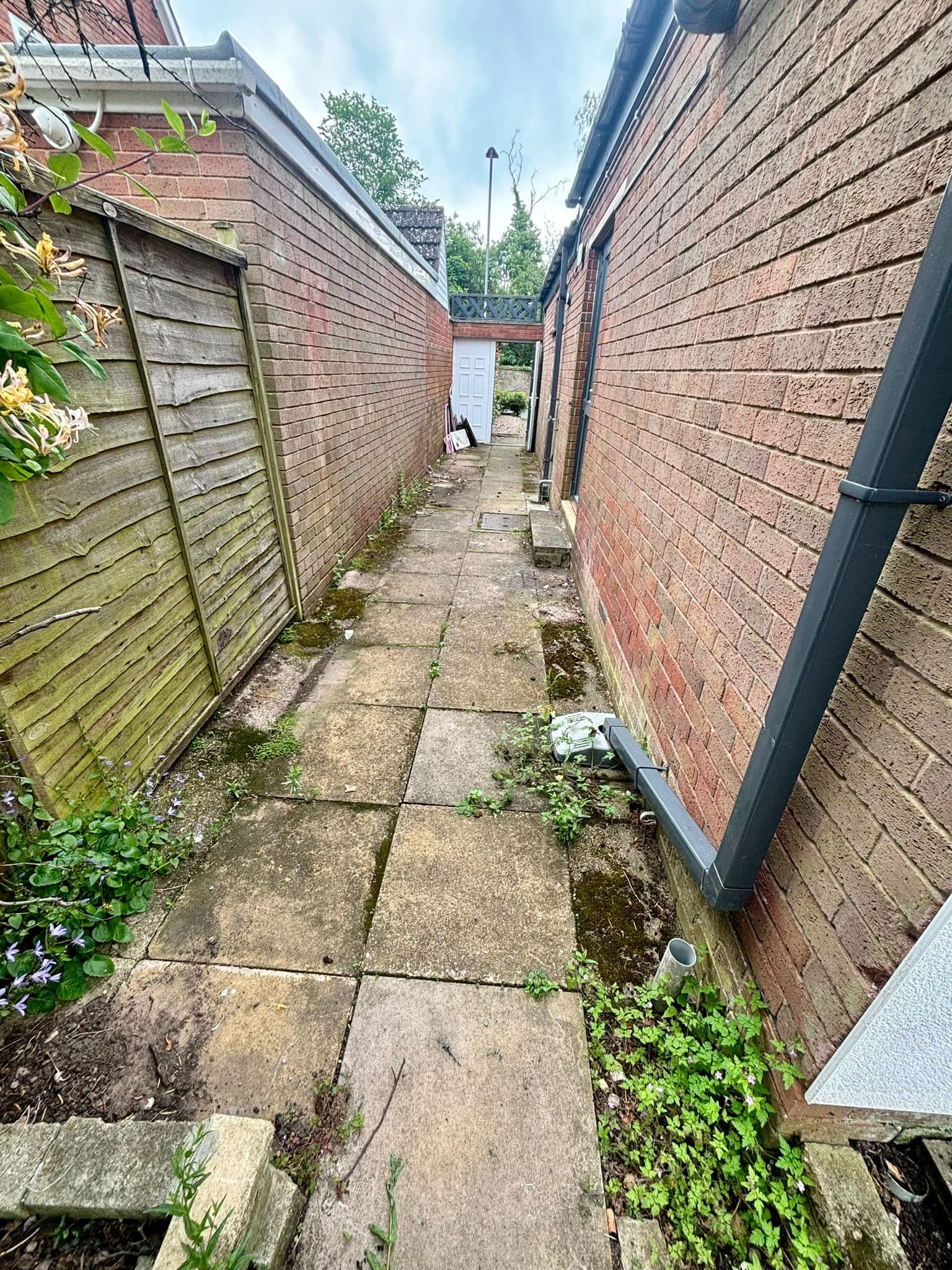 Tettenhall Garden Transformation - Photo 3