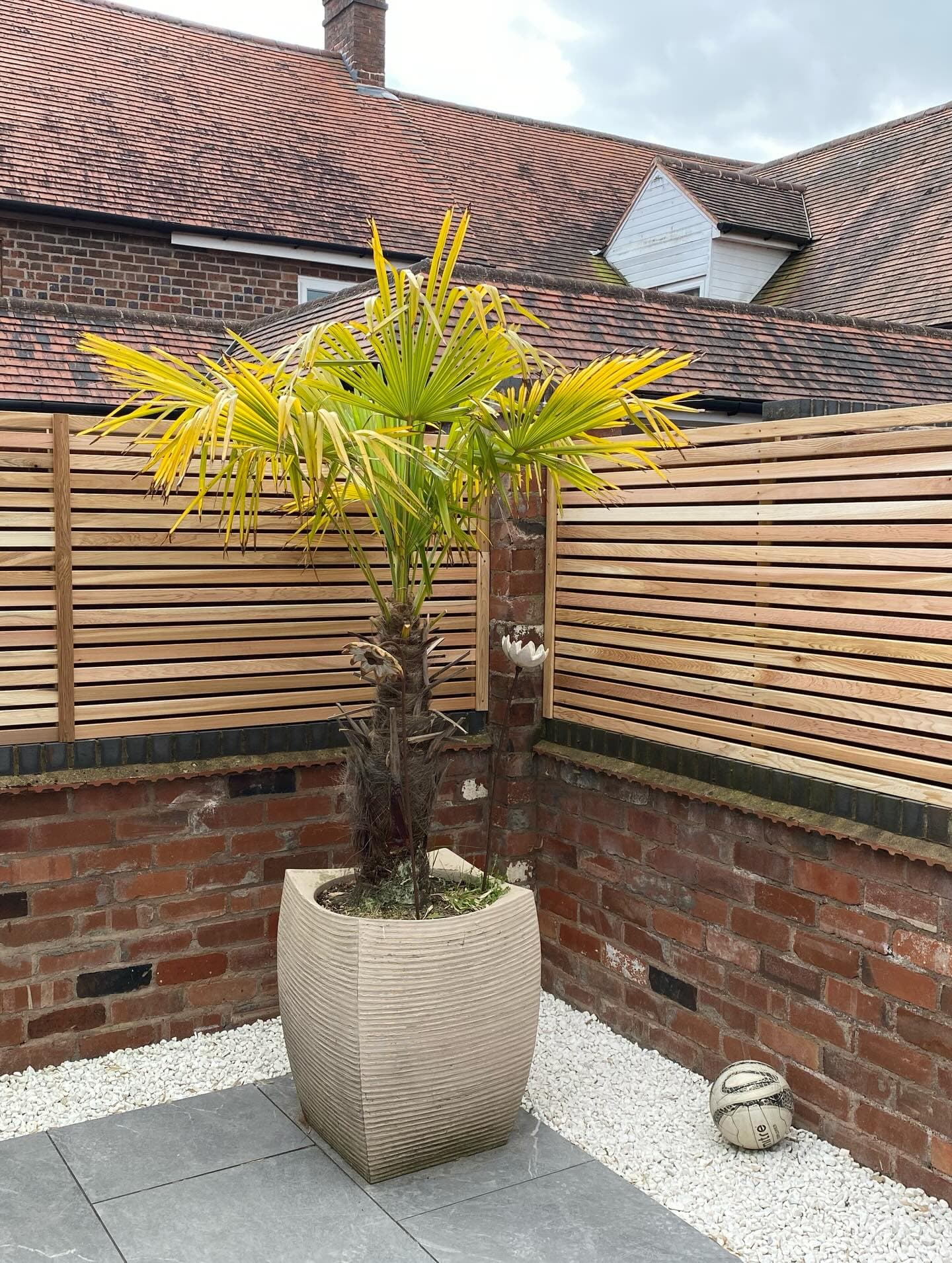 Garden with slatted fencing and planting